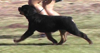 Flash Moving at 3 Months Old