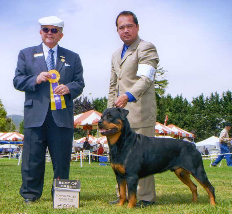 Sam Best of Breed Palm Springs