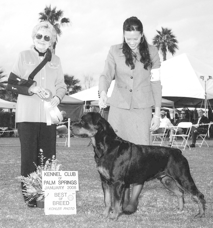 Sam Best of Breed Palm Springs