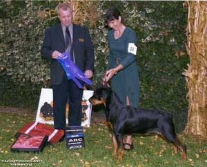 Annie — Winner's Bitch, 5-Point Major, ARC Specialty