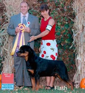 Flash — ARC Best of Breed